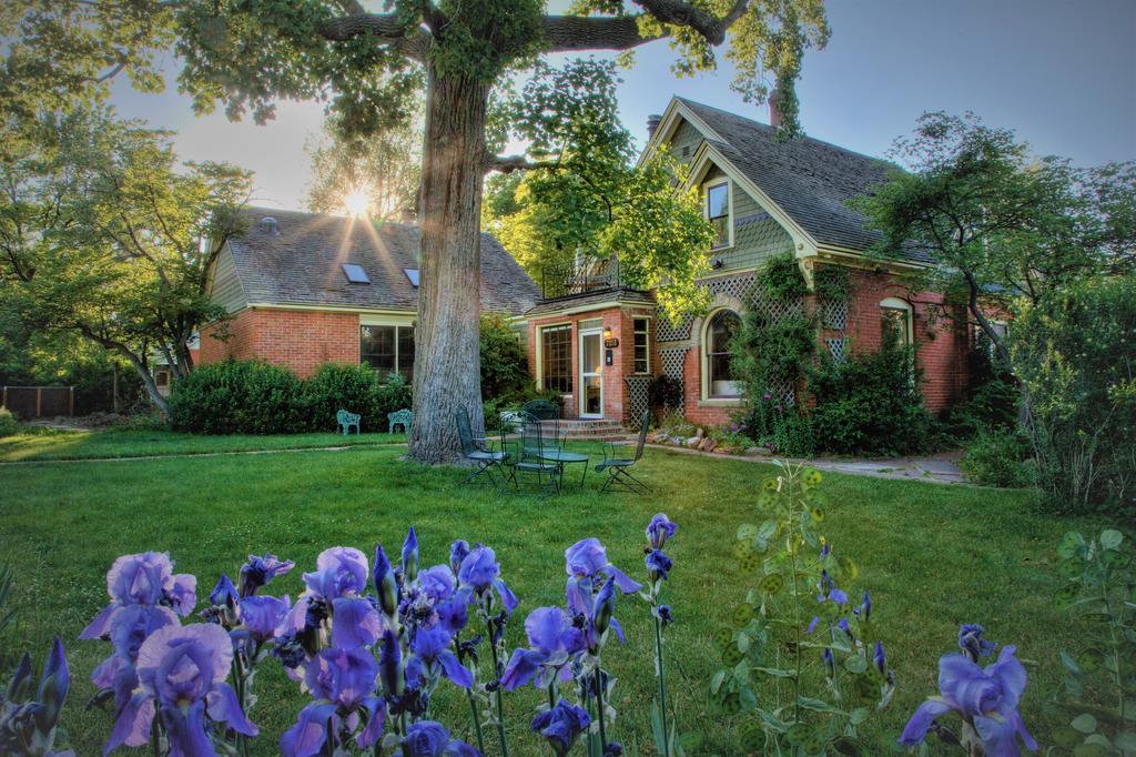 באולדר Briar Rose Bed & Breakfast מראה חיצוני תמונה