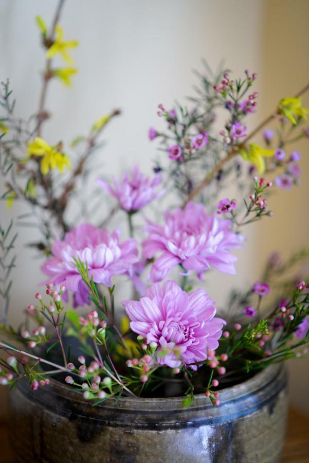 באולדר Briar Rose Bed & Breakfast מראה חיצוני תמונה